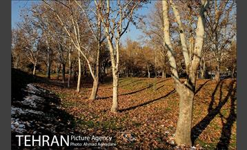 پاییز برفی پارک ملت 19