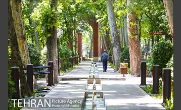 باغ ایرانی 5