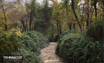 طبیعت پاییزی باغ راه فدک تهران 20