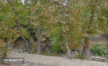 ­اکوپارک رود دره فرحزاد 10