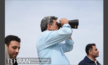 بازدید شهردار تهران از منطقه سیل زده پل سبحانیه دشت آزادگان 10