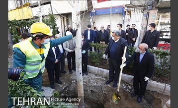 مراسم کاشت درخت در خیابان ولیعصر  17