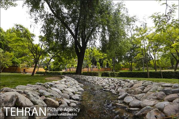 بوستان پلیس 8