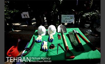 احیای درختان خیابان  ولیعصر( عج) با حضور شهردار تهران  22