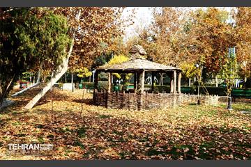 گذر پاییزی بوستان رازی 3