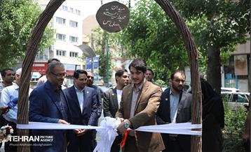 اولین میدانگاه محیط زیستی شهر تهران 9