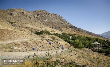 بازدید مدیر کل حریم شهرداری تهران از منطقه 5