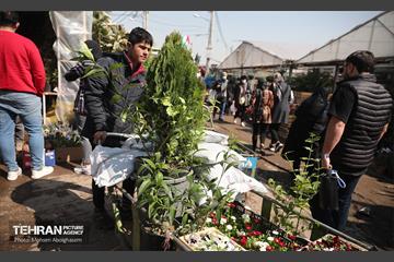بازار گل شهید محلاتی در آخرین روزهاى سال 3