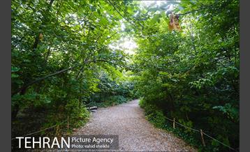 باغ گیاه شناسی ملی ایران  39