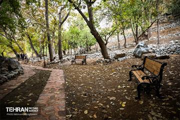 پاییز در روددره فرحزاد