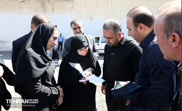 بازدید عضو کمیسیون اجتماعی و فرهنگی شورا از منطقه 17 9