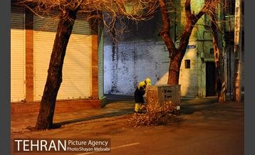 تقدیر از پاکبانان شهر به مناسبت ولادت امام علی(ع) 15