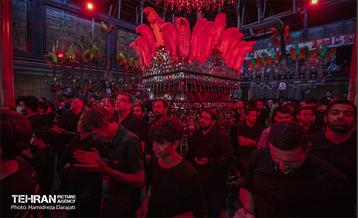 ‌نخل‌برداری در حصاربوعلی