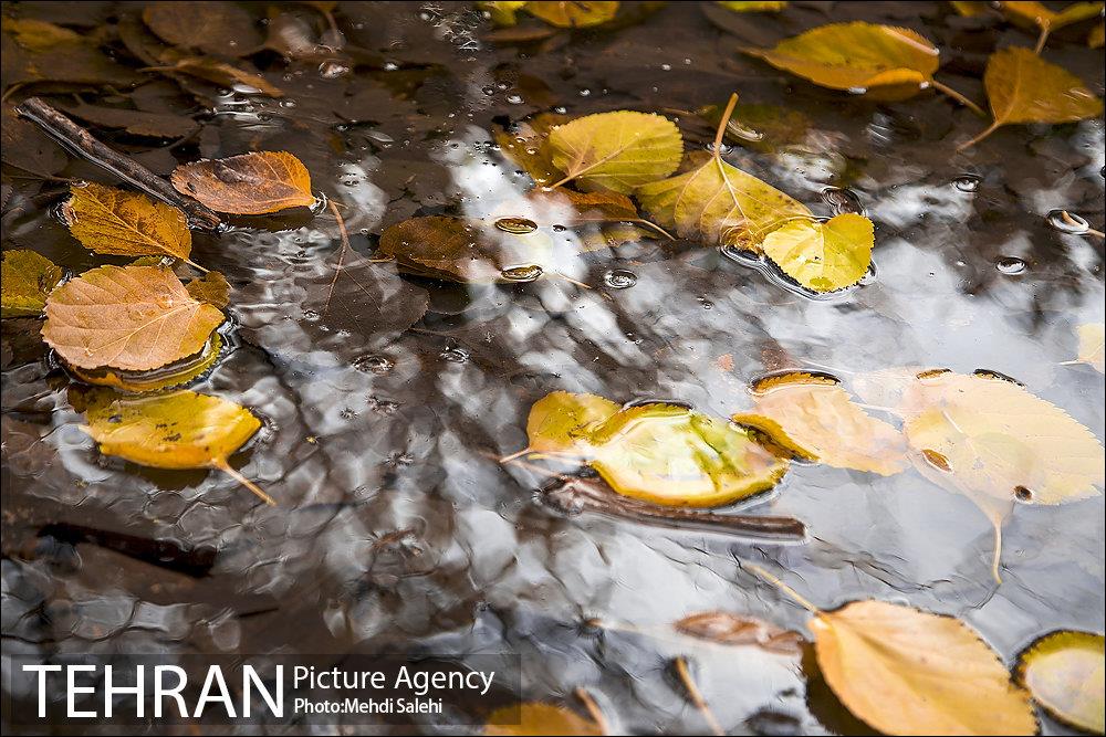 پاییز زیبای منطقه کن 23