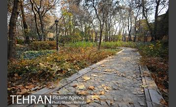 پاییز باغ ایرانی 31