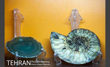 موزه علوم زمین 27