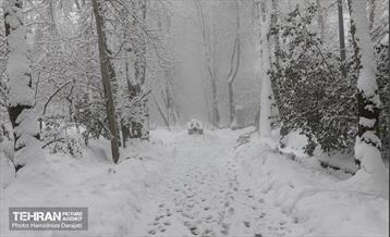 روایت مه‌و‌برف در بوستان سنگی تهران  7