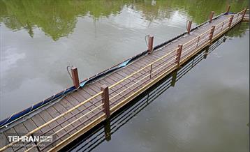 بارش باران بهاری در تهران - 2 30