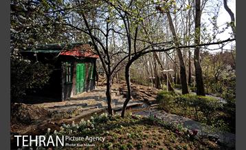 بوستان جمشیدیه (باغ سنگی جمشیدیه) 17