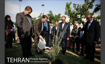 آئین درخت کاری به مناسبت تولد گاندی 17