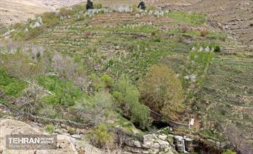 هوای بهاری منطقه 22 35