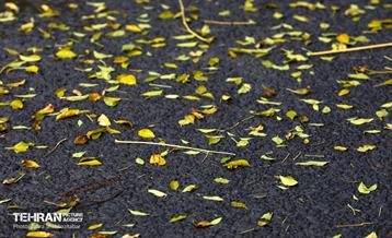 بارش باران پاییزی در تهران 4
