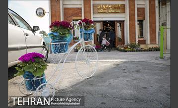 مرکز گل و گیاه ایوار 1