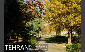 شهرک صدرا 10