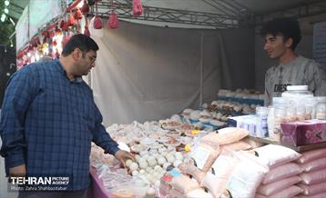 آیین افتتاحیه جشنواره نور و بازی‌های چوبی  17