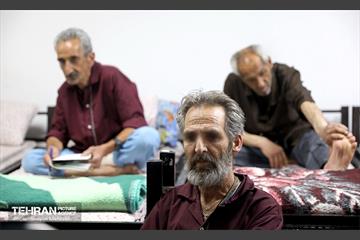 دعوت به همکاری شهرداری تهران از افراد در معرض آسیب و جامعه‌پذیر 3