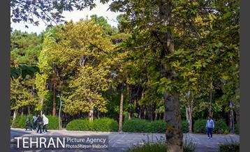 پاییز بوستان لاله 8