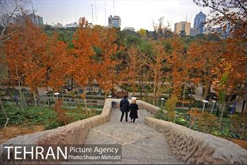 پاییز در پارک های تهران 17
