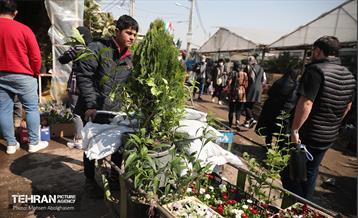 بازار گل شهید محلاتی در آخرین روزهاى سال 3