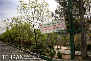 روز طبیعت بدون انسان 15