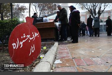 دوازدهمین جشنواره انار  13