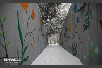 روز برفی تهران - 2 24