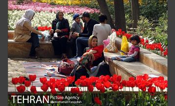 لاله های بهاری بوستان مختاری 11