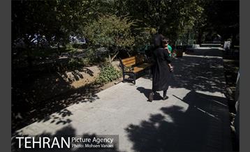 بلوار کشاورز 16