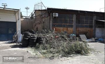 جلسه قرارگاه اجتماعی شهرداری منطقه 12 6