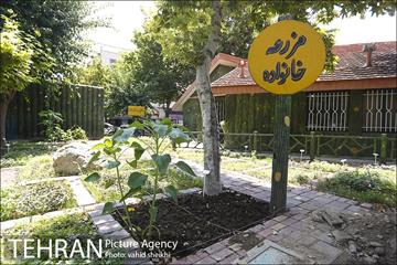 بوستان المهدی 15