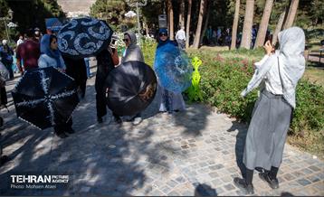 رویداد فرهنگی،هنری «جشن باران» 13