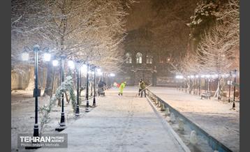 بارش برف زمستانی در معابر شمالی پایتخت - 1 32