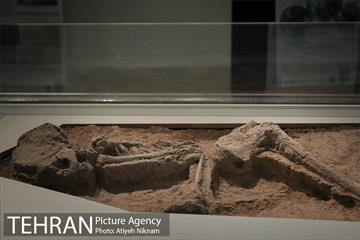 موزه ایران باستان 23