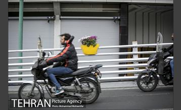 استقبال از بهار در خیابانهای تهران 8