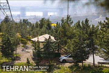 بوستان جنگلی کوهسار 10