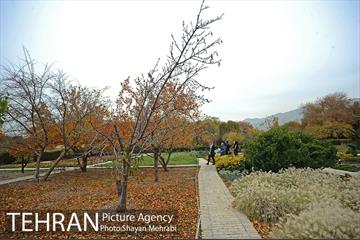 باغ گیاه‌شناسی ملی ایران 5
