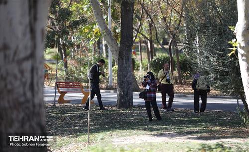 تور عکاسی بوستان بعثت 35