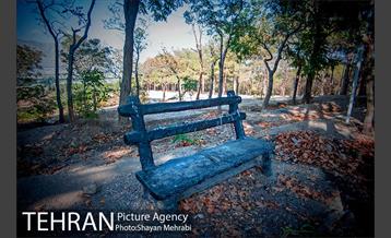 بوستان جنگلی چیتگر 9