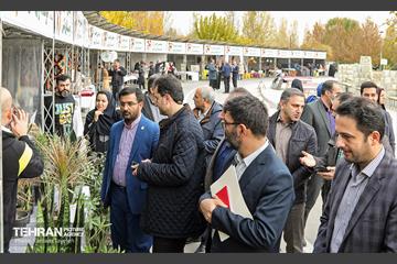 پنجمین جشنواره خرمالوی کن 30