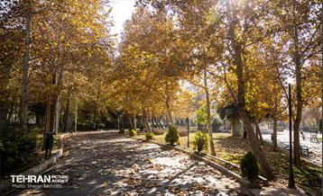 سمفونی رنگ های پاییزی - بوستان رازی 9